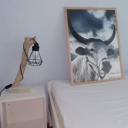 Ferienwohnung Mystra Pula Exterior foto